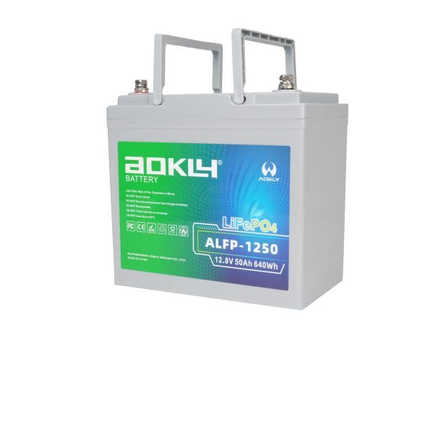 AOKLY 20240716124120